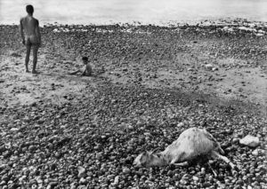 ULYSSE, Agnès Varda, 1982