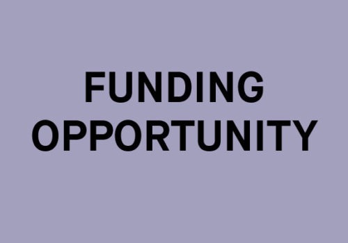 Black text on a plain lilac background reads: FUNDING OPPORTUNITY