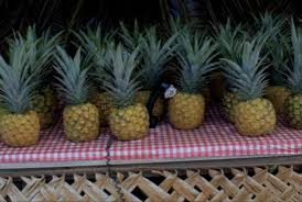 Accent Grave on Ananas, Tamara Henderson, 2013, 3 minutes