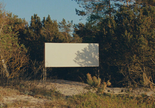 Viktoria Schmid, A Proposal to project in Scope, courtesy of the artist