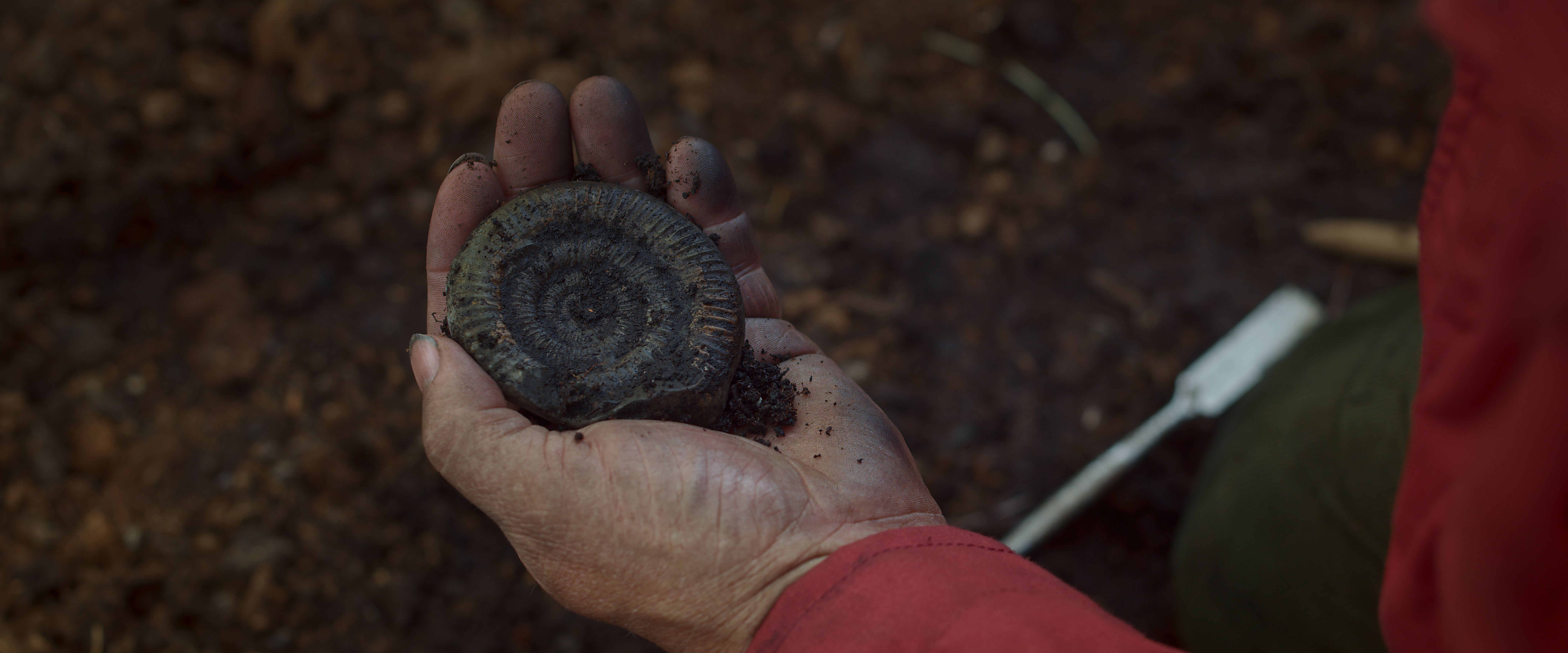 A close-up of a person with light skin holding a circular fossil in the middle of an archaeological site