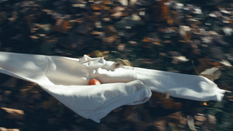 A still image from Anita Delaney's digital moving image artwork called Well. A white casual jersey is moving through outdoor space, its long-sleeve arms are spanning wide across the image. Loose brown leaves are underneath the jersey on the ground, and sunlight is shining on some of the leaves and catching on the folds of the white jersey. In the very centre of the white jersey sits a red apple, moving with the fabric.