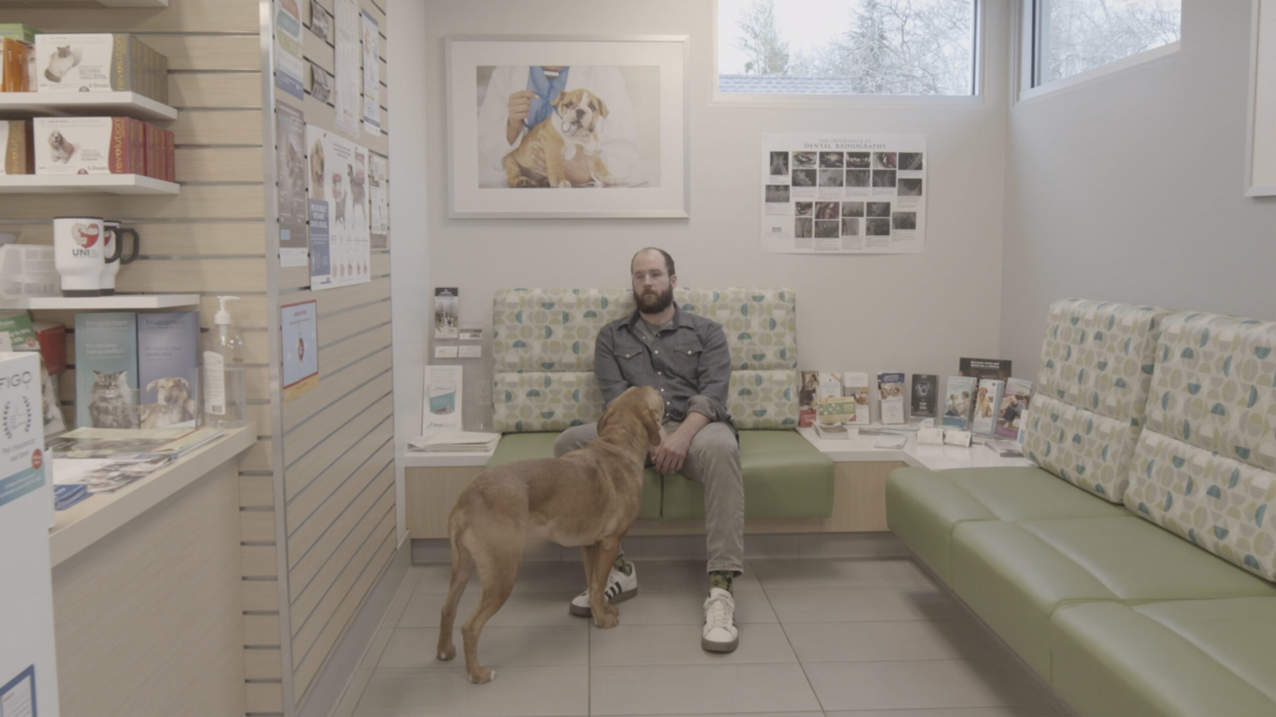 A man with pale skin and a beard and a large dog wait in a vet's waiting room