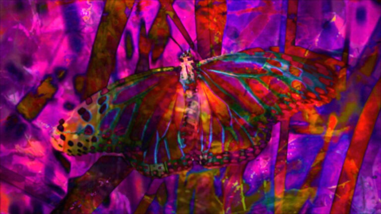 Psychedelic image of a butterfly amid illuminous pink, orange, red, blue and purple colours