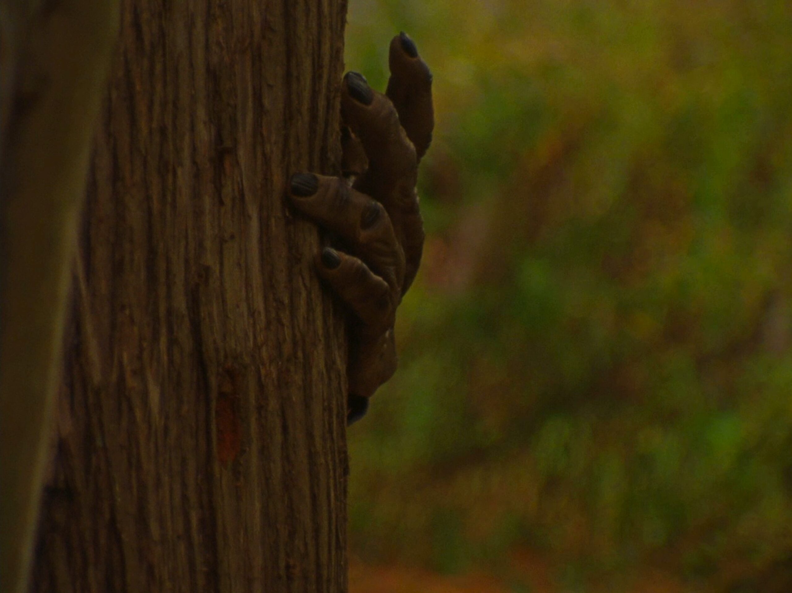 The hand of a creature with large brown fingers and dark fingernails creeps around the trunk of a tree