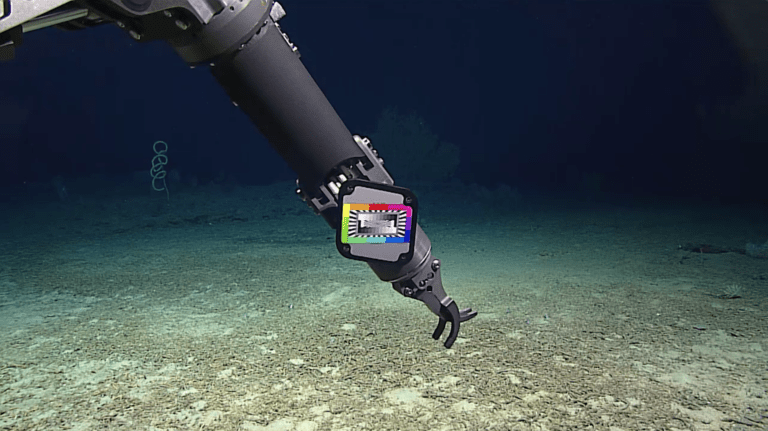 The long arm of a machine is visible deep underwater on the seabed. A colourful screen is attached to it and one or two sea creature are camouflaged amongst the uneven ground