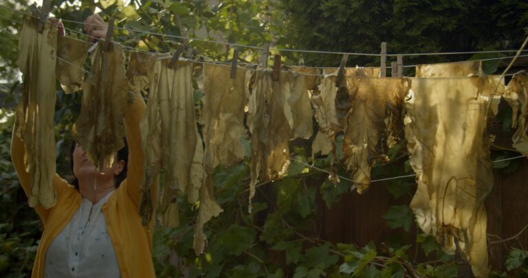 This is a still from the short film ‘Cabbage’ (2023) by Irish filmmaker Holly Márie Parnell. The image shows multiple washing lines hanging closely together, each holding long pieces of seaweed that are secured by wooden pegs. On the left side of the frame, a woman wearing a mustard-coloured cardigan and a white shirt with a flower design is seen hanging a piece of seaweed on one of the lines. The woman’s face is mostly covered by the hanging seaweed. She has dark hair and light skin. The background of the image is filled with green foliage, and natural sunlight illuminates various parts of the scene.