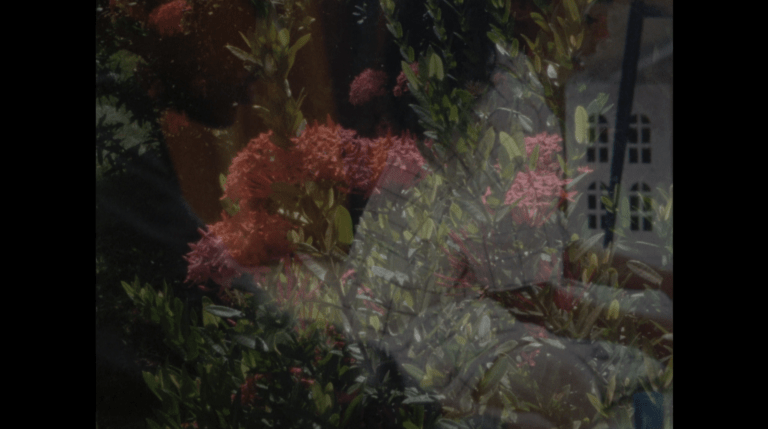 This a still from the film 'Chanson pour le Nouveau-Monde (Song for the New World)' (2021) by Miryam Charles. It features a large bush adorned with pink flowers and green leaves. In the foreground, a semi-transparent layered image reveals two children sitting on a carpeted floor, engaged in play. On the left side of the frame, a young boy with dark hair and dark skin is faintly discernible. He is wearing a long-sleeved blue t-shirt. On the right side of the frame, a young girl with long dark hair and dark skin can be seen more prominently. She is sitting sideways to the camera and is dressed in a white dress with a blue square pattern design. Additionally, towards the far right of the frame, a white dolls house with four large windows is visible within the overlayed image.