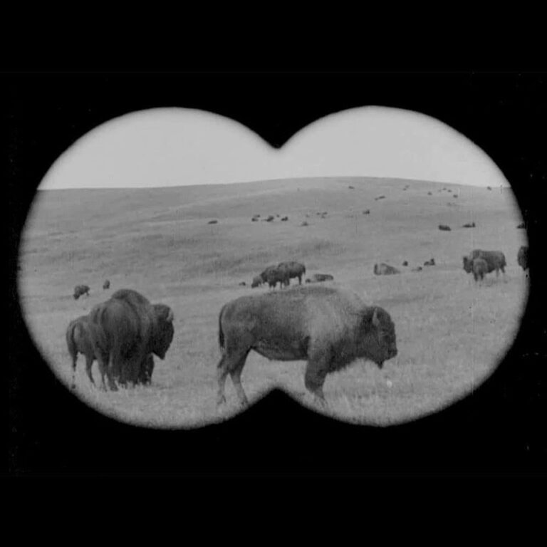 This is a still image from the short film 'Sisters & Brothers' (2015) by Kent Monkman. The scene depicts a vast field with numerous bison spanning from the foreground to the background, where the horizon meets the sky. The image is viewed through a pair of binoculars, which results in a distinct black outline framing the scene. The overall image is presented in black and white.