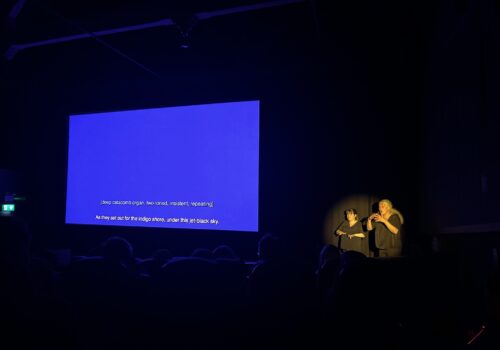 A group of people are gathered in a darkened cinema space. The screen is entirely blue and featured two lines of captions. Lianne Quigley (Di) and Elzbieta Cichocka are interpreting Blue through ISL to the right of the screen.